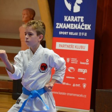 Pohár bojovníků 6.12.2025