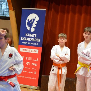 Pohár bojovníků 6.12.2025