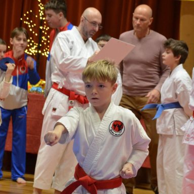 Pohár bojovníků 6.12.2025