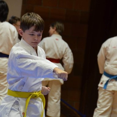 Pohár bojovníků 6.12.2025