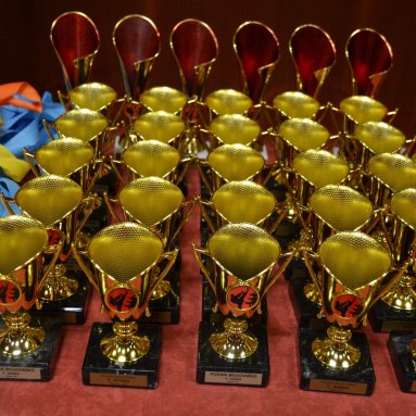 Pohár bojovníků 6.12.2025