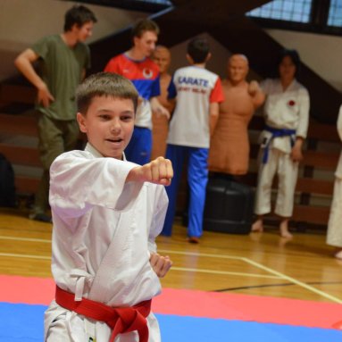 Pohár bojovníků 6.12.2025