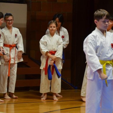 Pohár bojovníků 6.12.2025