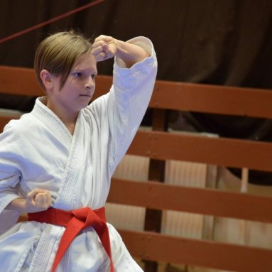 Pohár bojovníků 6.12.2025