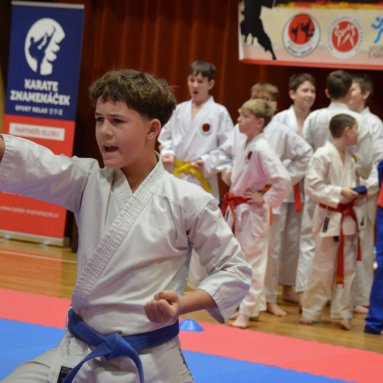 Pohár bojovníků 6.12.2025