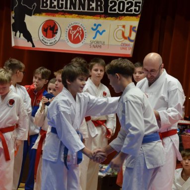 Pohár bojovníků 6.12.2025