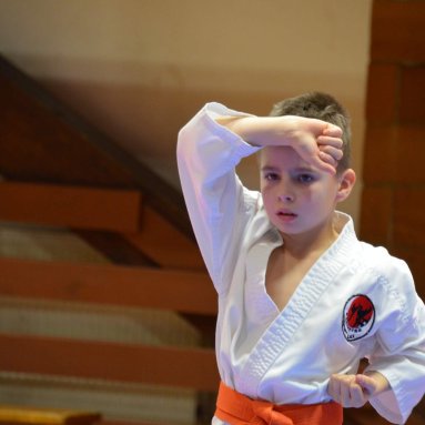 Pohár bojovníků 6.12.2025