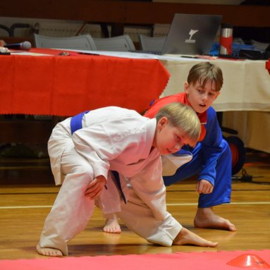 Pohár bojovníků 6.12.2025