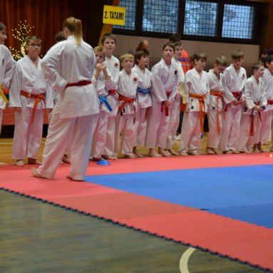 Pohár bojovníků 6.12.2025