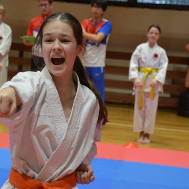 Pohár bojovníků 6.12.2025