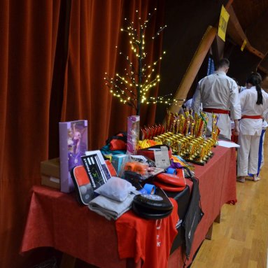 Pohár bojovníků 6.12.2025