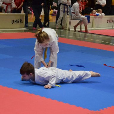 Pohár bojovníků 6.12.2025