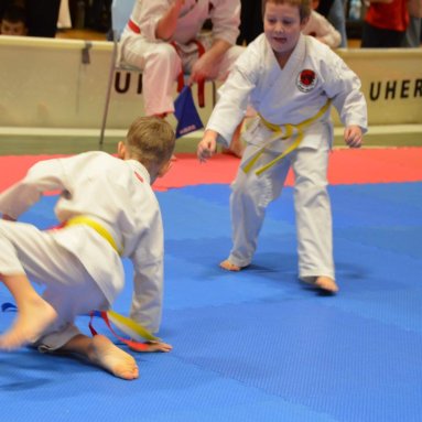 Pohár bojovníků 6.12.2025