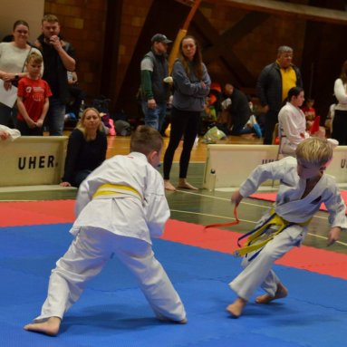 Pohár bojovníků 6.12.2025