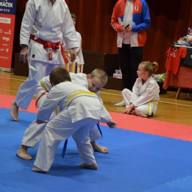 Pohár bojovníků 6.12.2025