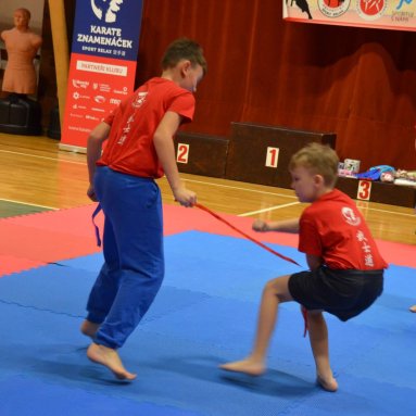 Pohár bojovníků 6.12.2025