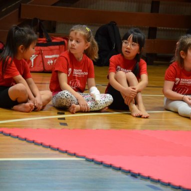 Pohár bojovníků 6.12.2025