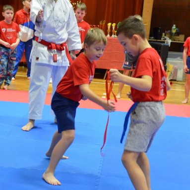 Pohár bojovníků 6.12.2025