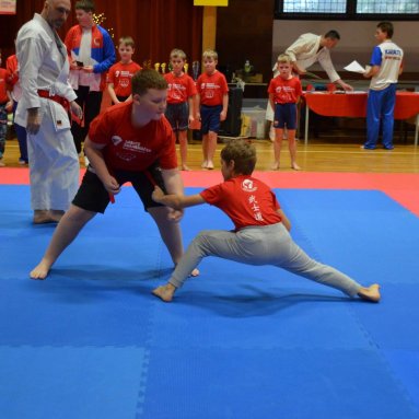 Pohár bojovníků 6.12.2025