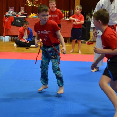 Pohár bojovníků 6.12.2025