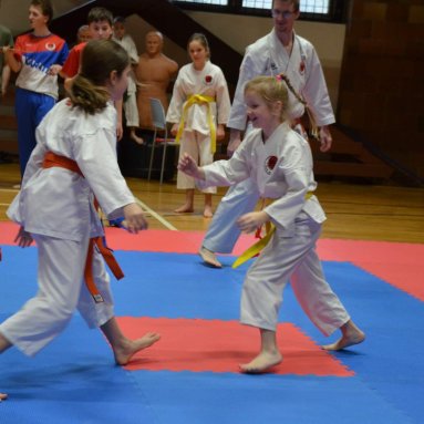 Pohár bojovníků 6.12.2025