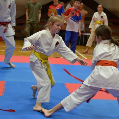 Pohár bojovníků 6.12.2025