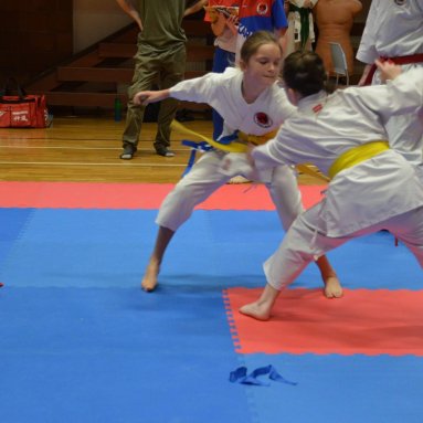 Pohár bojovníků 6.12.2025