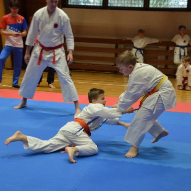 Pohár bojovníků 6.12.2025