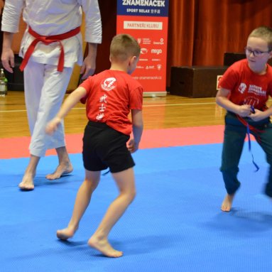 Pohár bojovníků 6.12.2025