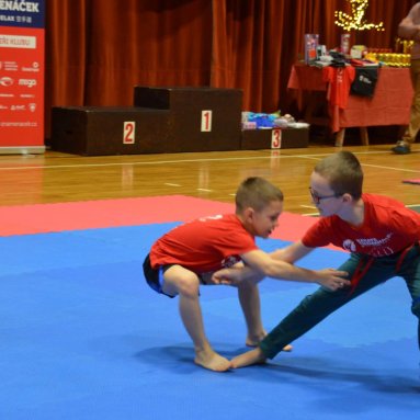 Pohár bojovníků 6.12.2025