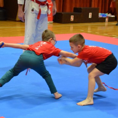 Pohár bojovníků 6.12.2025