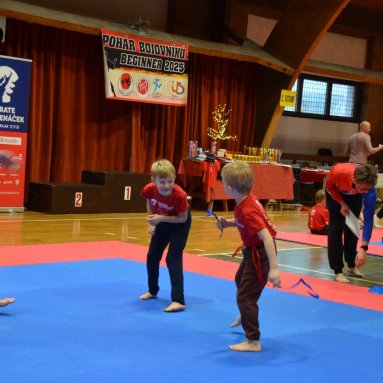 Pohár bojovníků 6.12.2025