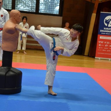 Pohár bojovníků 6.12.2025