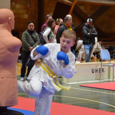 Pohár bojovníků 6.12.2025