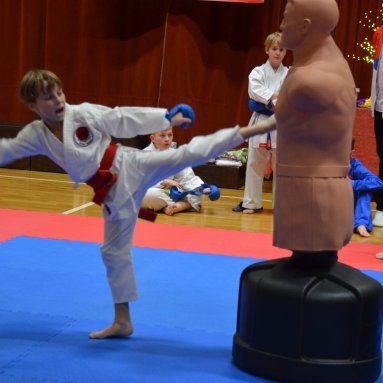 Pohár bojovníků 6.12.2025