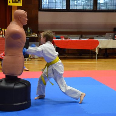 Pohár bojovníků 6.12.2025