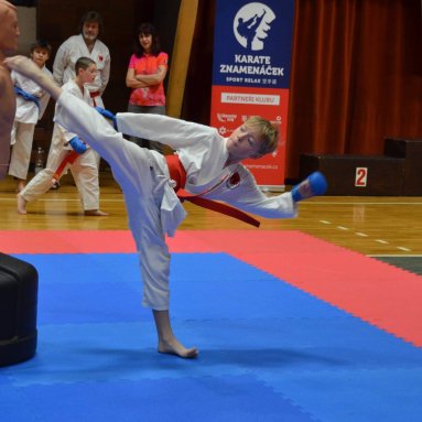 Pohár bojovníků 6.12.2025