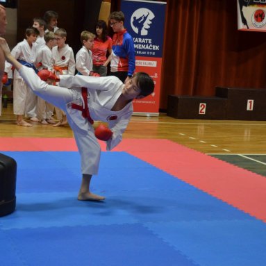 Pohár bojovníků 6.12.2025