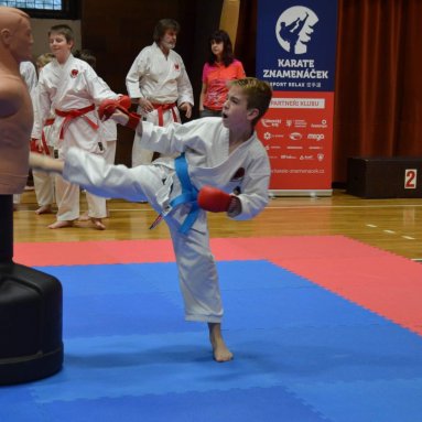 Pohár bojovníků 6.12.2025