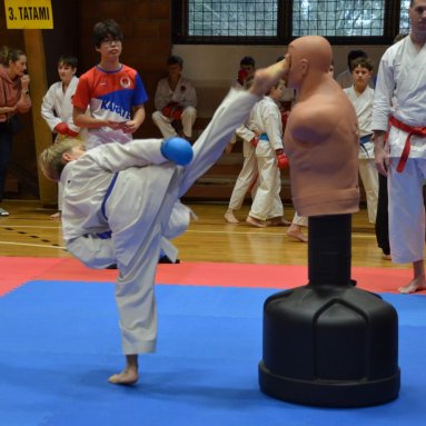 Pohár bojovníků 6.12.2025