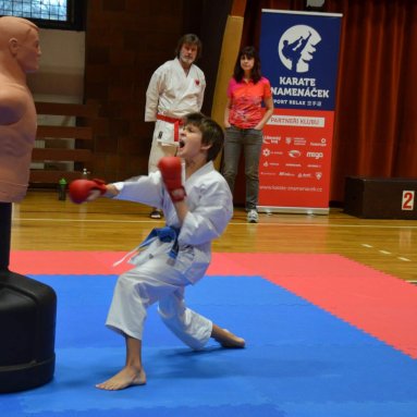 Pohár bojovníků 6.12.2025