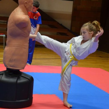 Pohár bojovníků 6.12.2025