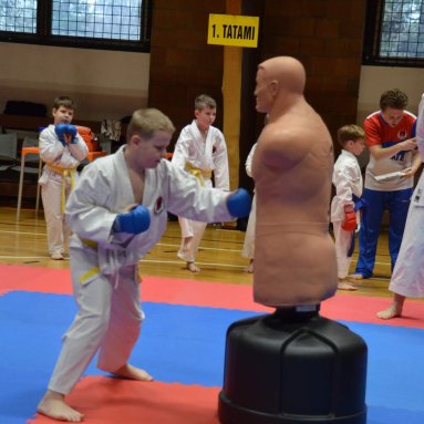 Pohár bojovníků 6.12.2025