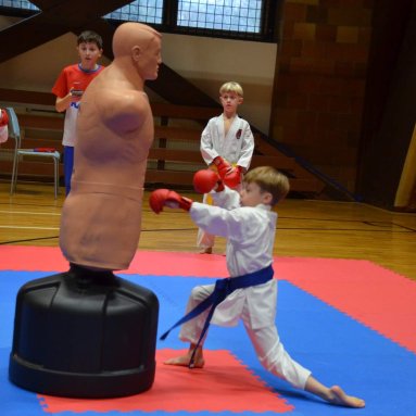 Pohár bojovníků 6.12.2025