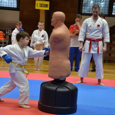 Pohár bojovníků 6.12.2025