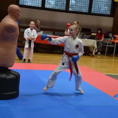 Pohár bojovníků 6.12.2025