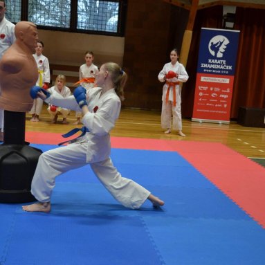 Pohár bojovníků 6.12.2025