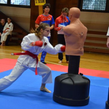 Pohár bojovníků 6.12.2025