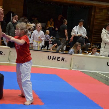 Pohár bojovníků 6.12.2025