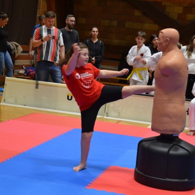 Pohár bojovníků 6.12.2025